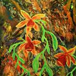 Collection Paintings