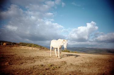 White Horse thumb