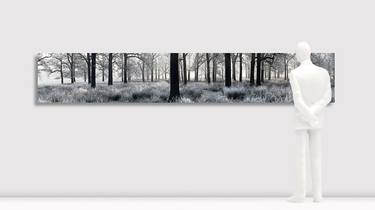 Frozen Wood 60 x 300 cm thumb