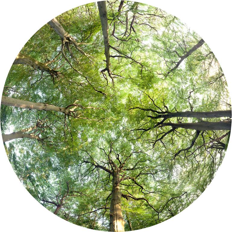Original Modernism Landscape Photography by David Anthony Hall
