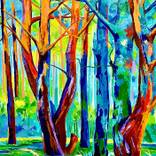 Bosque de Irati by Maite Rodriguez