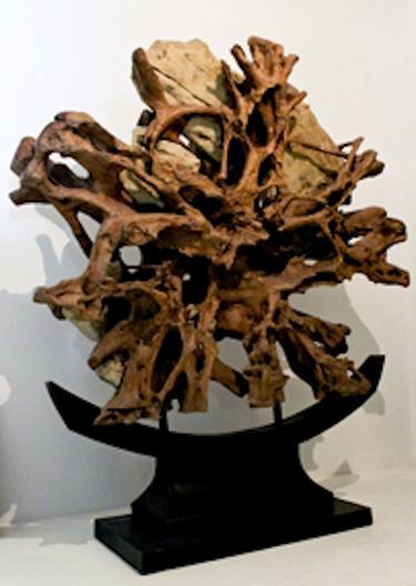 Original Abstract Nature Sculpture by joel dumas