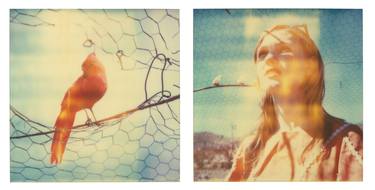 Daydream (Haley and the Birds) - diptych thumb