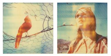 Original Conceptual Cinema Photography by Stefanie Schneider