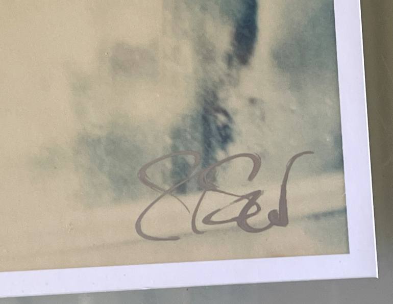 Original Conceptual Still Life Photography by Stefanie Schneider