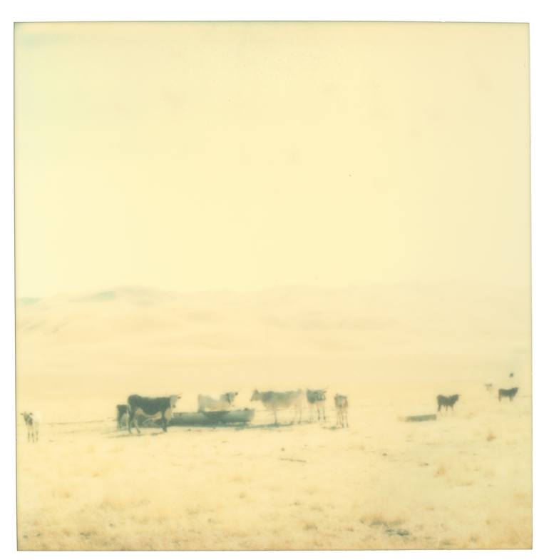 Original Conceptual Landscape Photography by Stefanie Schneider