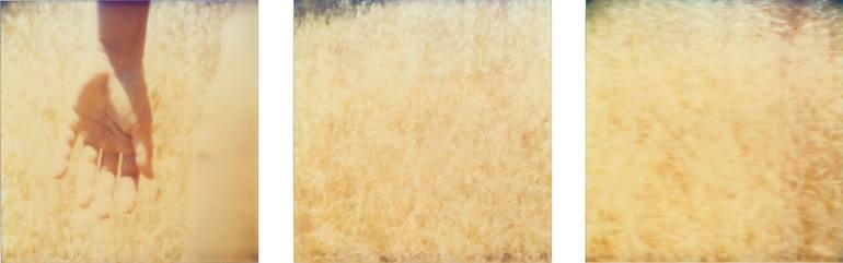 Original Conceptual Landscape Photography by Stefanie Schneider
