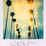 Stefanie Schneider Mini 'Palm Trees on Wilcox' - signed, loose by Stefanie Schneider