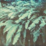 Untitled (Fairytales) by Stefanie Schneider
