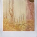 Untitled (Fairytales) by Stefanie Schneider