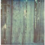 Untitled (Fairytales) by Stefanie Schneider