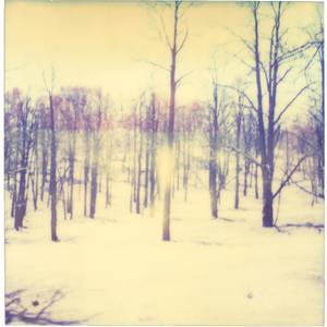 Frozen V (The Last Picture Show)
