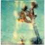 "Radha Mind Screen", triptych (29 Palms, CA)

Edition 10/10 (last), both APS sold
1999, 20x20cm each, Digital C-Print. LAST EDITION
Certificate + Signature
Artist Inventory Number 274.

"Stranger than Paradise" publication page 184