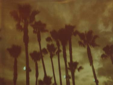 Palm Trees at Night (Stranger than Paradise) - Limited Edition 3 of 10 thumb