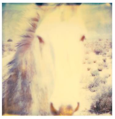 Original Horse Photography by Stefanie Schneider