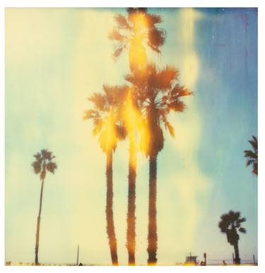 'Santa Monica Palm Trees II' (Stranger than Paradise) - Limited Edition 9 of 10 thumb