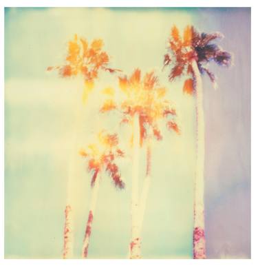 Palm Springs Palm Trees II (Stranger than Paradise) - Limited Edition 3 of 10 thumb