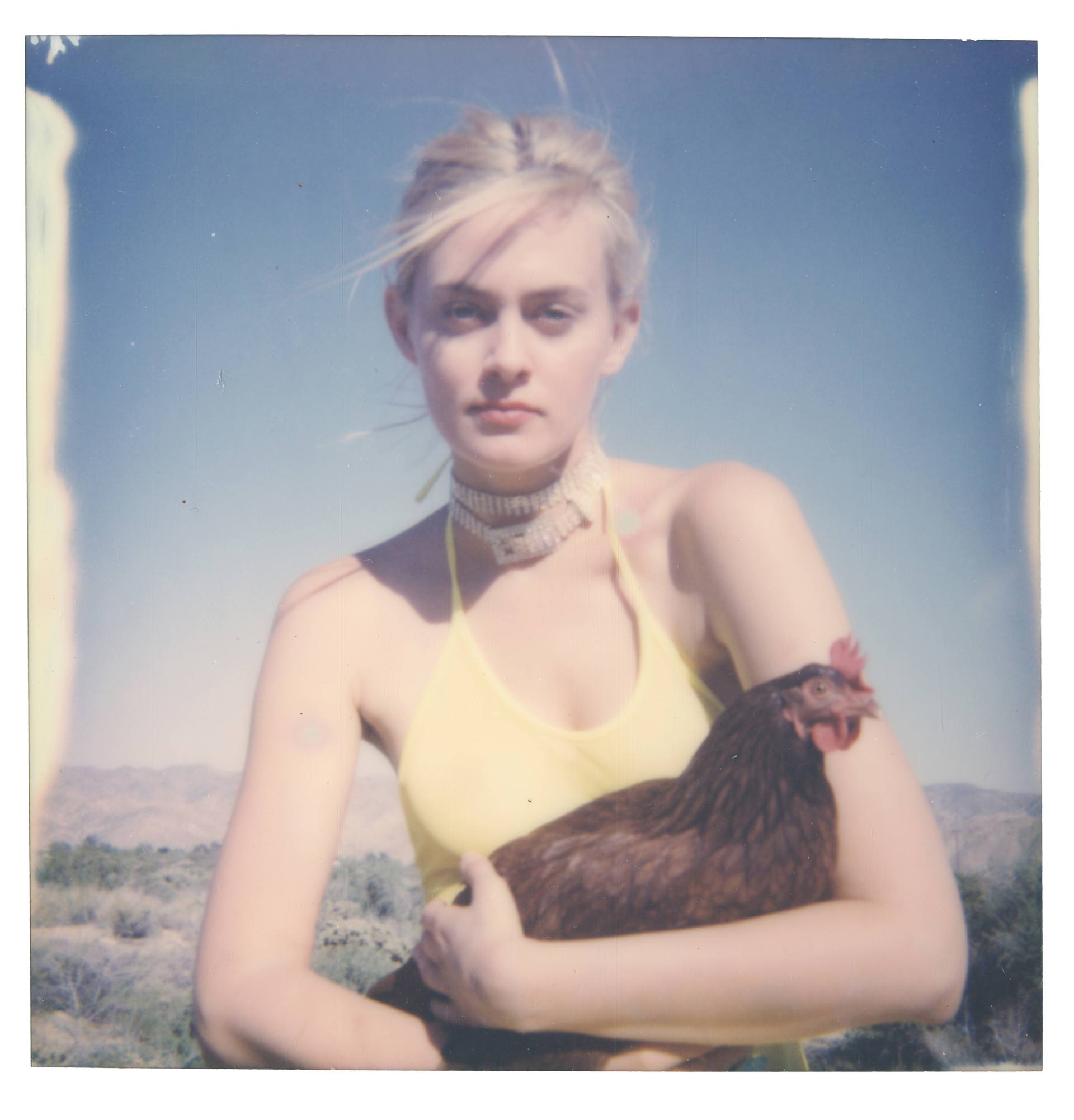 Saatchi Art Artist Stefanie Schneider; Photography, “Caitlin and Charlie - Chicks and Chicks and sometimes Cocks - Limited Edition 7 of 10” #art