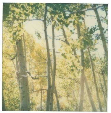 Indian Summer III (The Last Picture Show) - Limited Edition 4 of 10 thumb