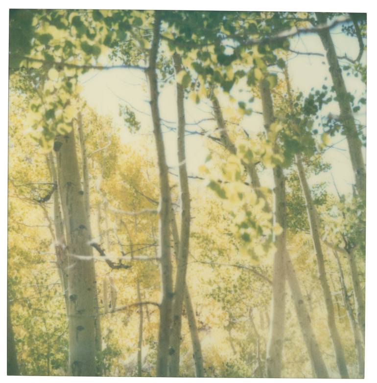 Original Landscape Photography by Stefanie Schneider | Conceptual Art on Other | Indian Summer III (The Last Picture Show) - Limited Edition 4 of 10