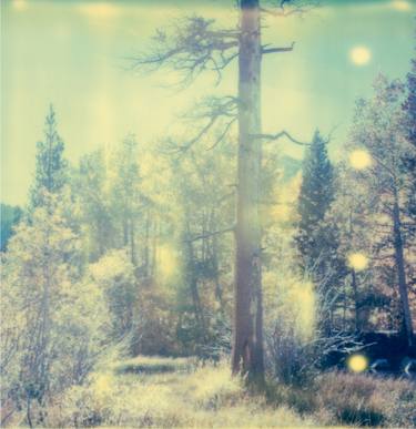 Original Landscape Photography by Stefanie Schneider