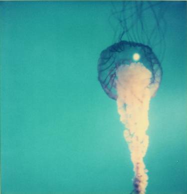 Jelly Fish from the movie Stay - Limited Edition of 5 thumb