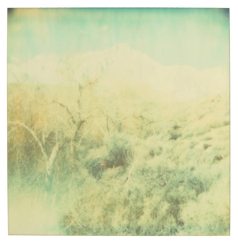 Original Conceptual Landscape Photography by Stefanie Schneider