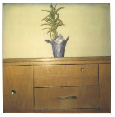 Lonely Plant on Cupboard (29 Palms, CA), - Limited Edition of 10 thumb