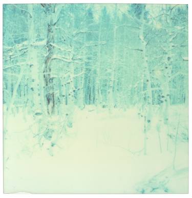 Winter - everything (Wastelands) - Limited Edition of 5 thumb
