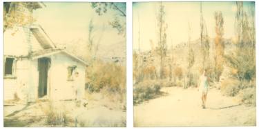 Last Season - so I walked away from my valley (Wastelands), diptych - Limited Edition of 5 thumb