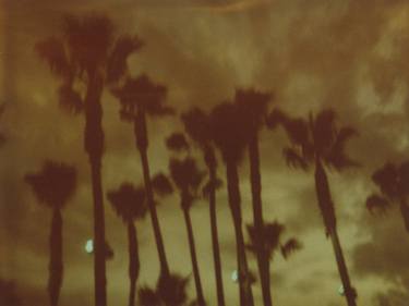 Palm Trees at Night (Stranger than Paradise) - Limited Edition of 10 thumb