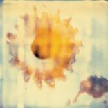 Collection Inspired by Andy Warhol