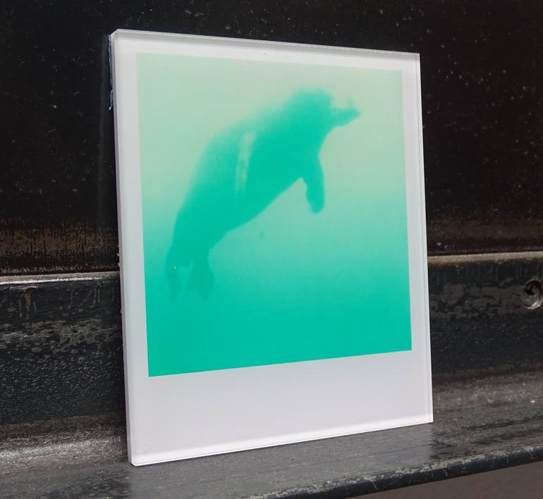 Original Conceptual Water Photography by Stefanie Schneider