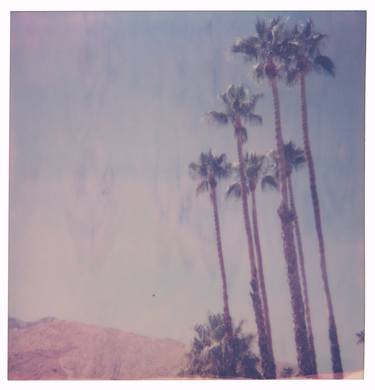 Palm Springs Palm Trees V (Californication) - Limited Edition of 10 thumb