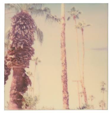Palm Springs Palm Trees VI - Limited Edition of 10 thumb