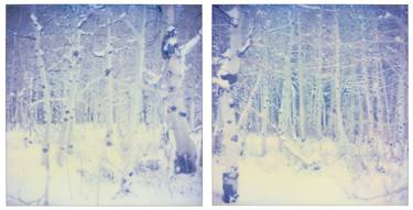 Snow Silence (Stranger than Paradise) diptych - Limited Edition of 5 thumb