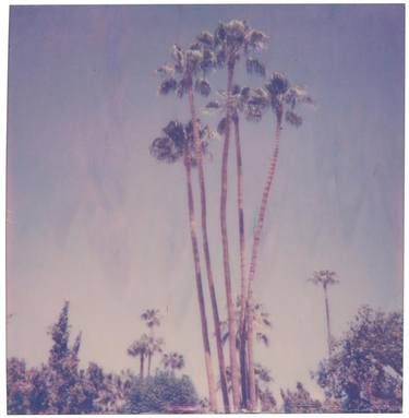 Palm Springs Palm Trees XI (Californication) - Limited Edition of 10 thumb