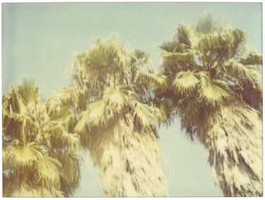 3 Palm Trees (Stranger than Paradise) - Limited Edition of 10 thumb