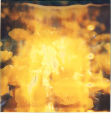 Yellow Flower (The Last Picture Show) - Limited Edition of 10 thumb
