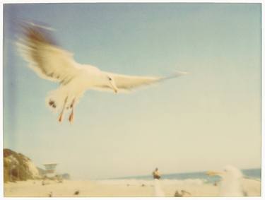 Seagulls (Zuma Beach) - mounted thumb