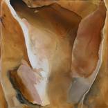 Tanami Desert by Dinah Wakefield
