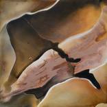 Sundance by Dinah Wakefield