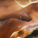 Desert Stories by Dinah Wakefield