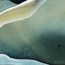 Sacred Waters 2 (signature)