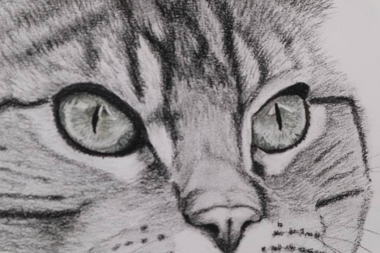 Original Expressionism Animal Drawing by Ruth Searle