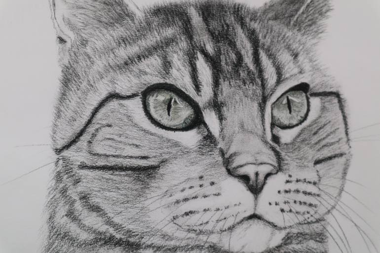 Original Expressionism Animal Drawing by Ruth Searle