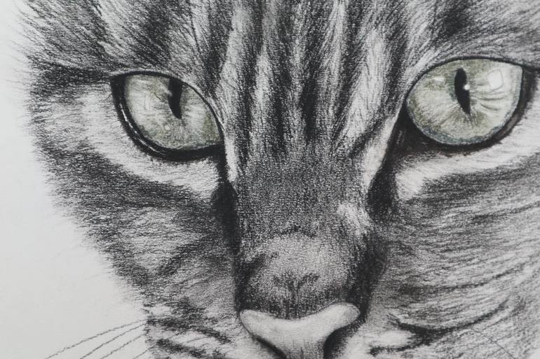 Original Expressionism Animal Drawing by Ruth Searle