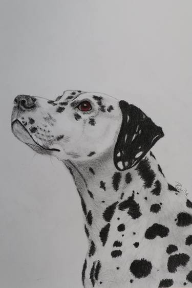Original Expressionism Animal Drawings by Ruth Searle