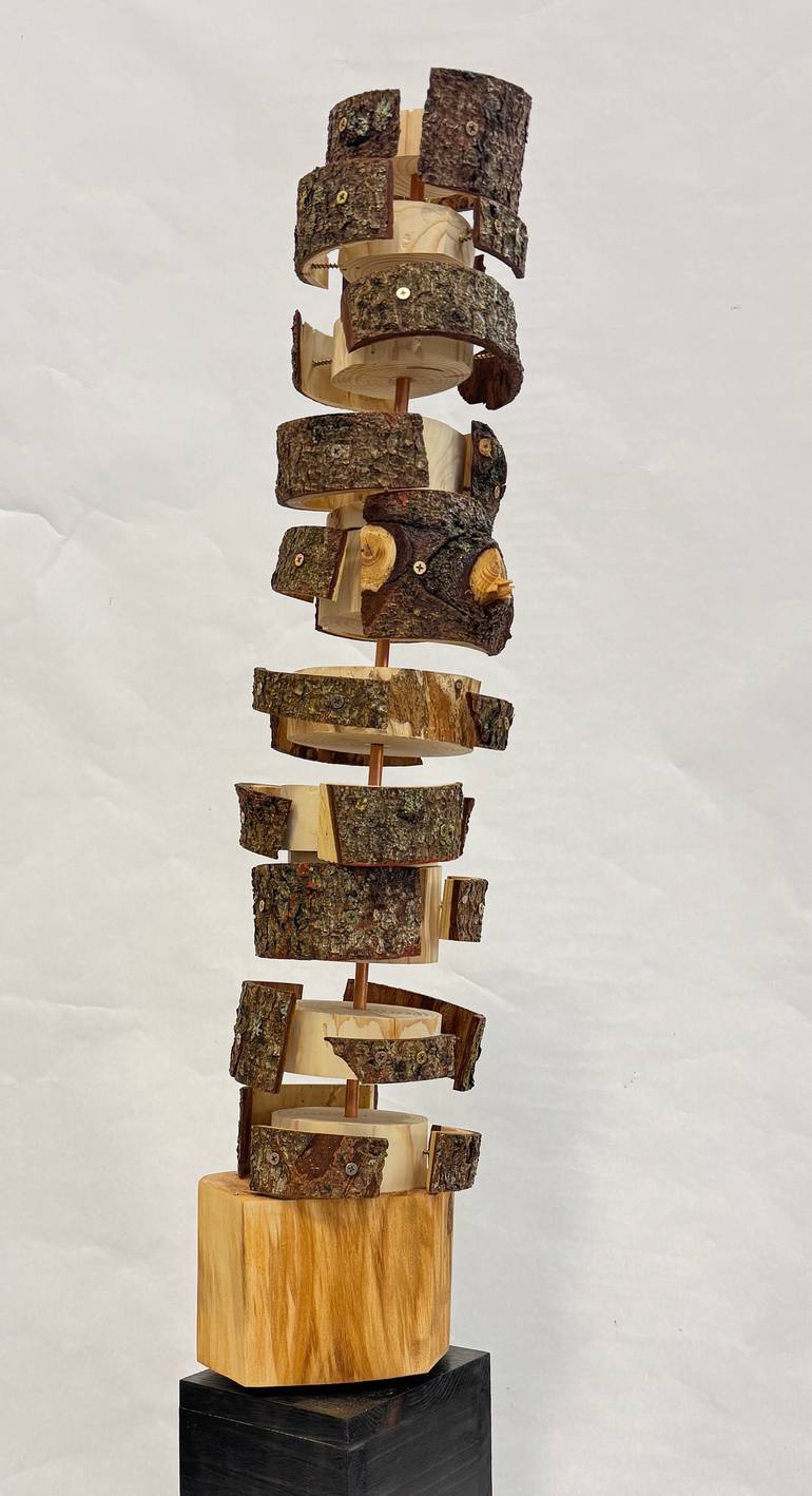 Original Abstract Expressionism Abstract Sculpture by Brett Polonsky