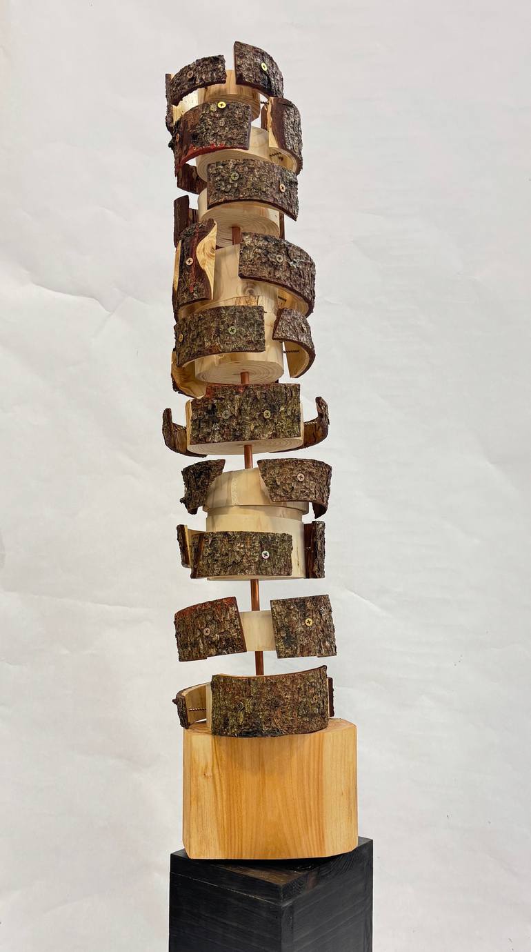 Original Abstract Expressionism Abstract Sculpture by Brett Polonsky